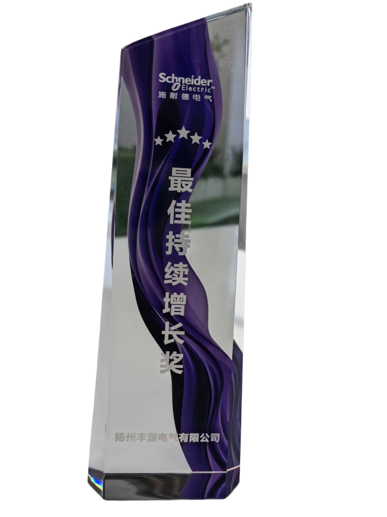 最佳持续增长奖